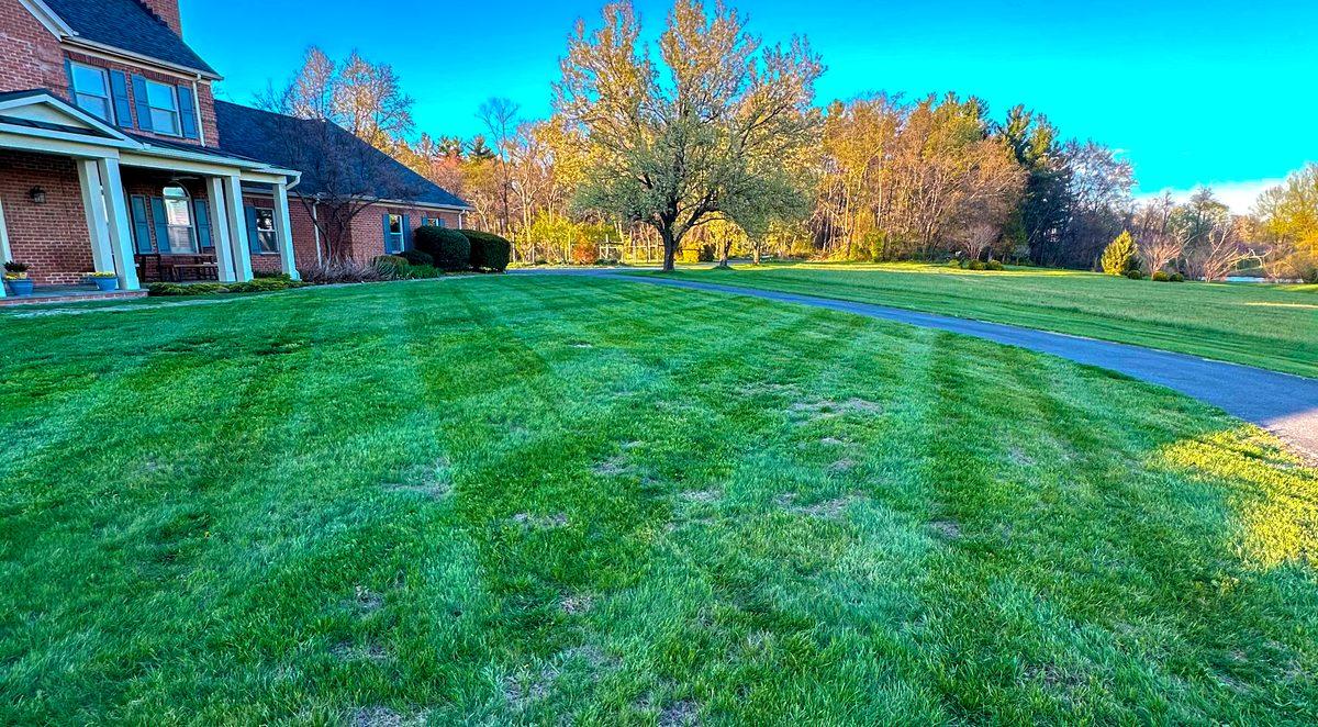 Fresh-cut lawn with clean mowing stripes in front of a brick home in Frederick County